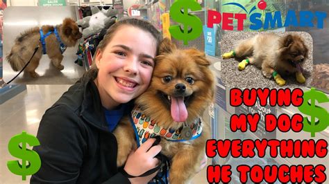Buying My Dog Everything He Touches Petsmart Youtube