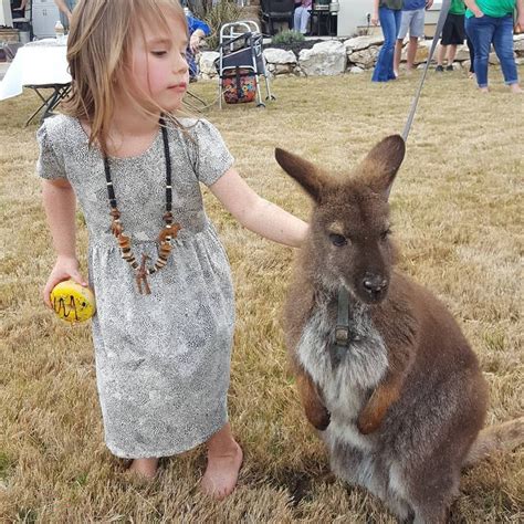 Traveling Petting Zoo - Exotic Animals & Reptiles in San Antonio TX