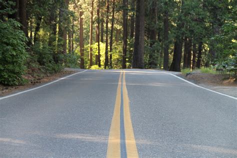 Free Stock Photo Of Paved Road Through Forest