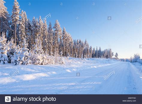 Country Road In Winter Landscape Trees Covered With Snow Finland