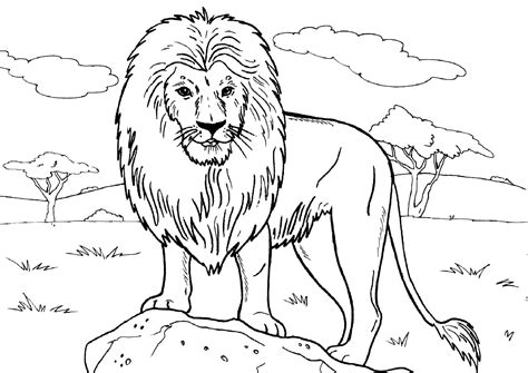 Animal A Colorier Luxe Galerie Coloriages Animaux Coloring Pages