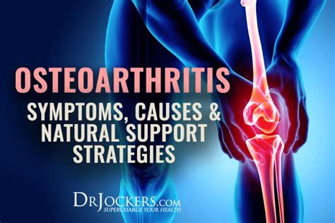 Osteoarthritis Symptoms Causes And Natural Support Strategies