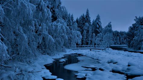 Blue Winter Landscape Wallpaper Backiee
