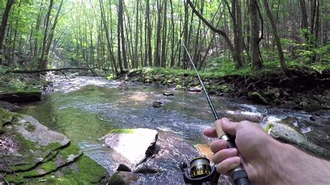 Native Brook Trout Fishing Deep In The Mountains Youtube