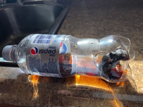 Bc Woman Finds Dead Mouse In Her Diet Pepsi Bottle Prince George Citizen