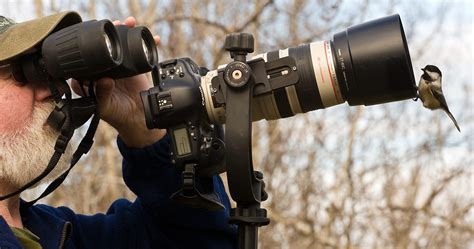 3 Best Dslr Cameras For Wildlife Photography Read Before