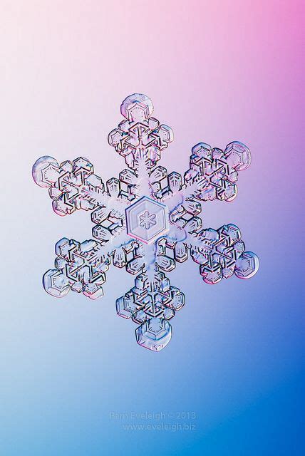 Eveleigh Snow13 0872 Snowflakes Real Snowflake Photos Snow Crystal
