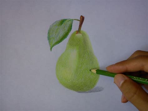 Pear Drawing At Getdrawings Free Download