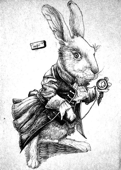 White Rabbit Alice In Wonderland Illustrations Alice In Wonderland