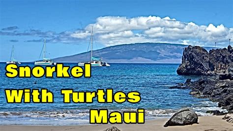 Because of this it is also one of the most popular spots on the island, and close to major resorts. Snorkel With Turtles Maui Black Rock Sheraton Kaanapali ...