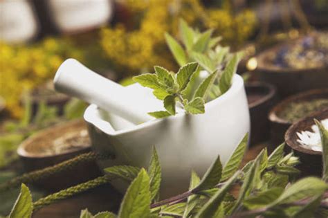 Are Herbal Remedies Safe And Effective For Anxiety