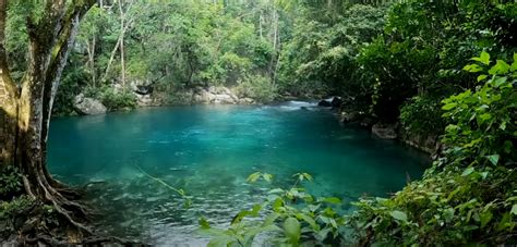 Reserva De La Biosfera El Cielo Un Paraíso Natural Eo Travel