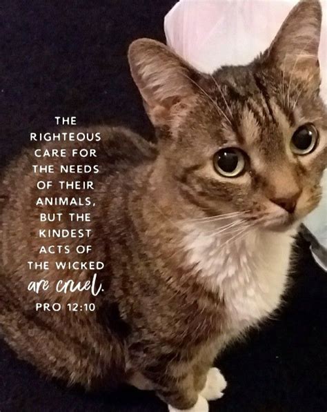 The world is special because of its inhabitants. We are supposed to be the caretakers of this world. How ...