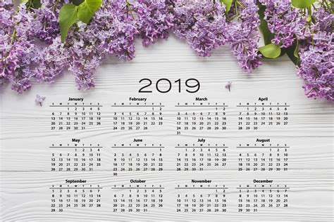 Kalender Blumen Des Kalender 2019 Kostenloses Stock Bild Public