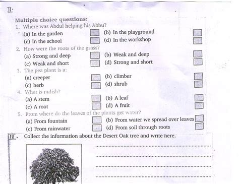 A b houses in mumbai are rebo bakarwal people live in houses love to stay in houseboats tourists in srinagar. Kendriya Vidyalaya Worksheets For Class 3 Evs Food We Eat ...