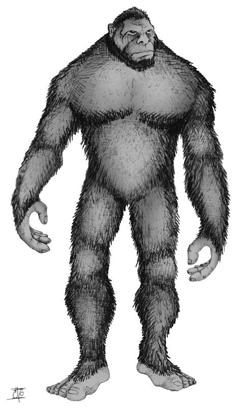 Why Do So Many Cultures Have A Version Of Bigfoot Live Science