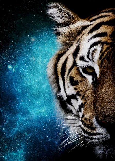 Galaxy Tiger Wallpapers Most Popular Galaxy Tiger Wallpapers