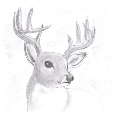 Maybe you would like to learn more about one of these? Realistic Deer by shademist030 on DeviantArt