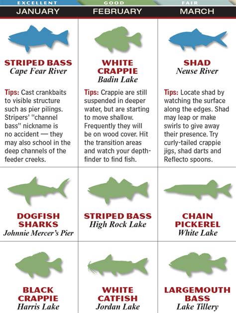North Carolina 2015 Fishing Calendar Game And Fish