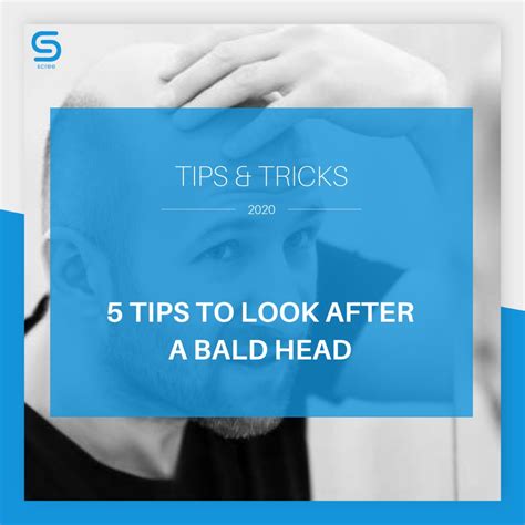 5 Tips To Look After Your Shavedbald Head🤩 Balding Beard Grooming