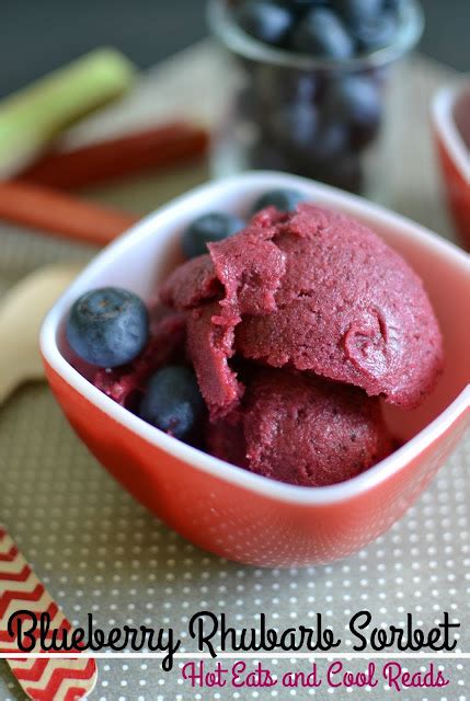 Blueberry Rhubarb Sorbet Recipe