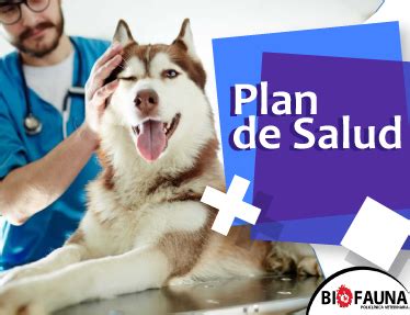 Plan Para Perros Adultos Policl Nica Biofauna