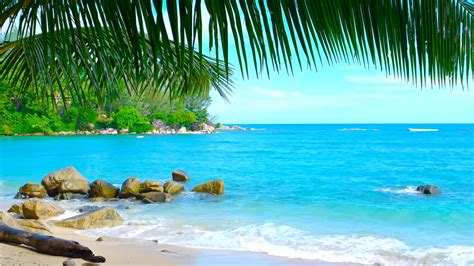 10 Best Tropical Beaches You Must Visit in Your Lifetime - Add to ...