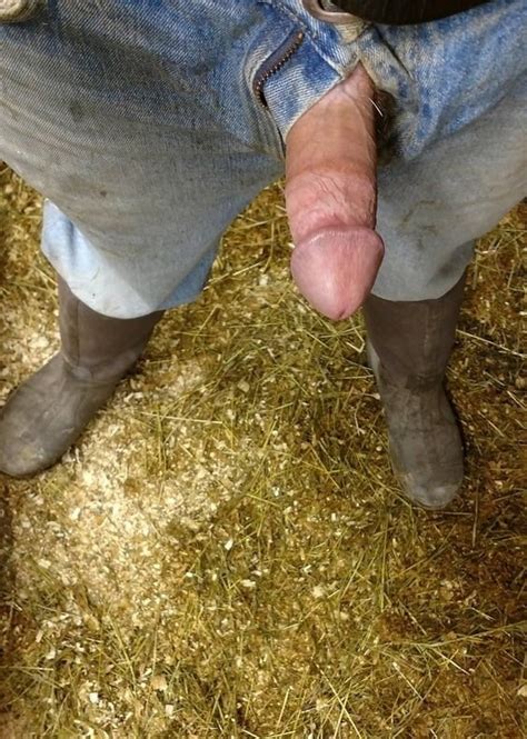 horny cocks out of jeans 771 pics 2 xhamster