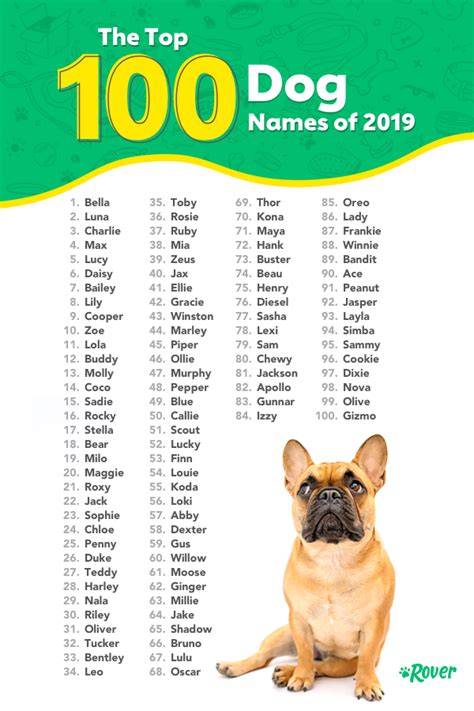 The Top 100 Dog Names Of 2019 Are Shown In This Poster Which Features