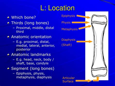 PPT - Describing Fractures - Basics PowerPoint ...