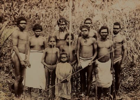 North Queensland Aboriginal Tribe C 1890s Shapiro Auctioneers