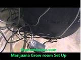 Medical Marijuana Grow Room Setup Images