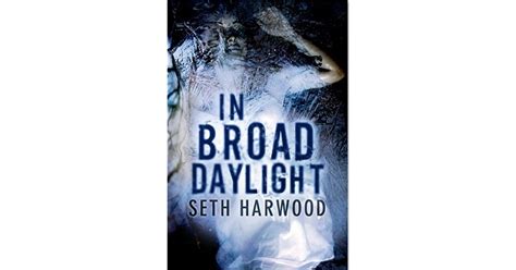 In Broad Daylight By Seth Harwood