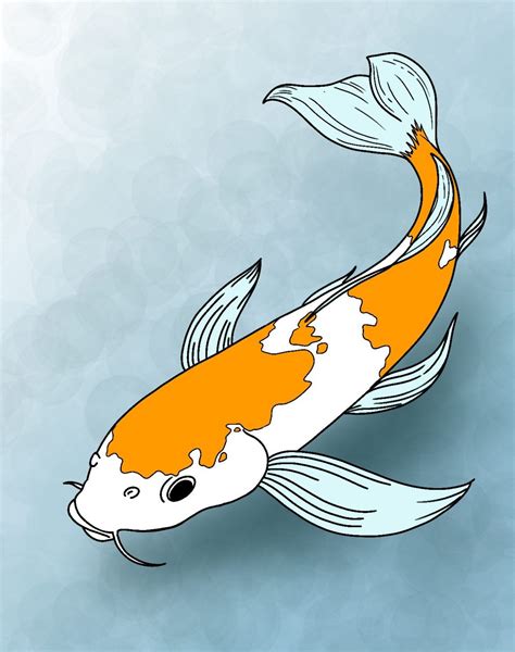 How To Draw A Realistic Koi Fish Img Zit