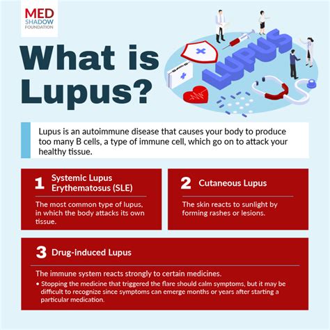 Lupus Infographic Medshadow Foundation Independent Health