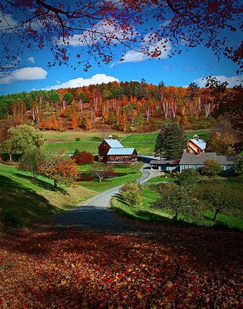 Sleepy Hollow Farm In October Vertical Woodstock Vermont