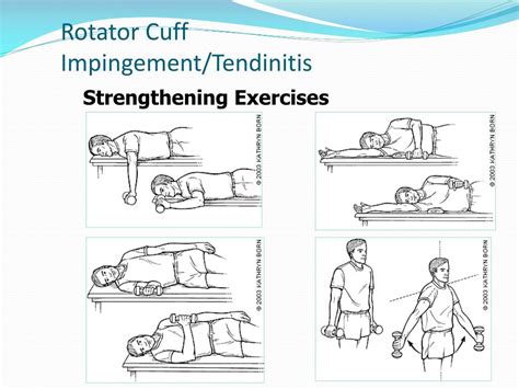 Rotator Cuff Exercises Impingement Full Body Workout Blog