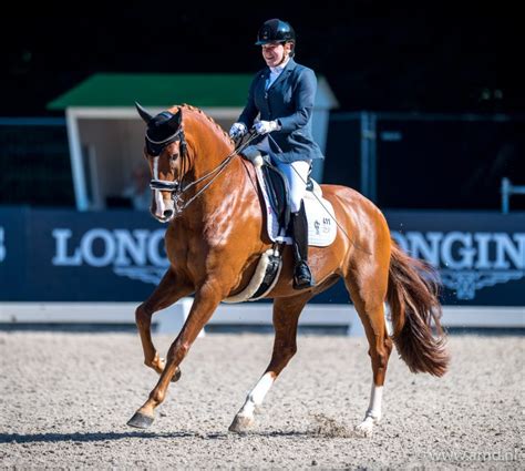 Para equestrian dressage | dutch, european, world & paralympic champion. Sanne Voets wint Europees goud in Rotterdam - Horses.nl