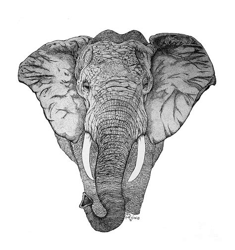 Human figures are much more common in the rock art of africa than in europe. African Elephant Drawing by Nick Gustafson