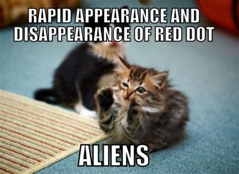 Grab The Stunning Cat Rain Memes Funny Hilarious Pets