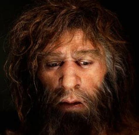 Modern Humans May Have Copied Neanderthal Technology Cbc News