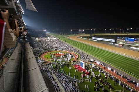 How Dubai World Cup Became The Shining Star For Middle Easts Fast