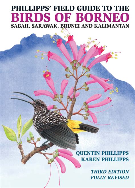 Phillipps Field Guide To The Birds Of Borneo 3rd Edition John Beaufoy Publishing