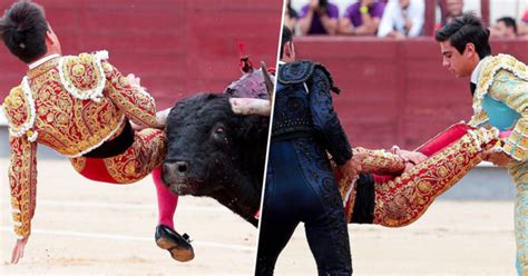 Royal Spanish Bullfighter Is “gravely Ill” After Bull Gored Him In