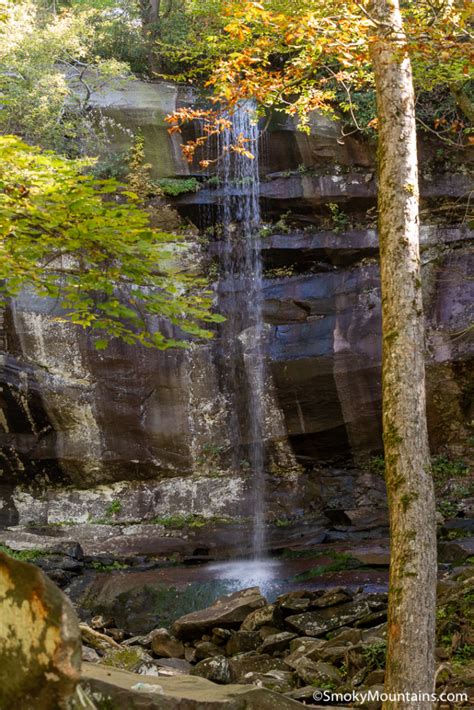 Rainbow Falls Trail Insider Tips And Information