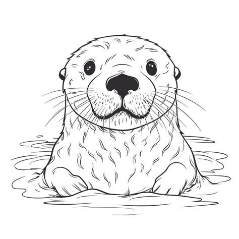 Otter In The Water On White Background Coloring Page Outline Sketch