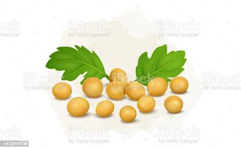 Yellow Mustard Seeds Vector Illustration With Green Leaves Stock