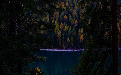 Download Wallpaper 3840x2400 Forest Autumn Lake