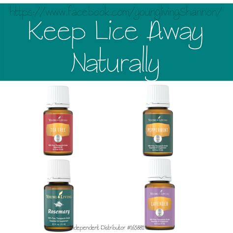 Essential Oil Spray For Lice On Furniture - patio furniture