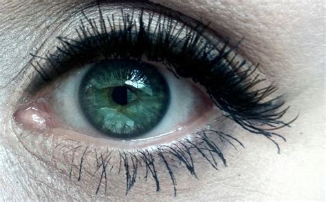 My Own Eye Sea Green Aesthetic Eyes Green Eyes Bright Eyes